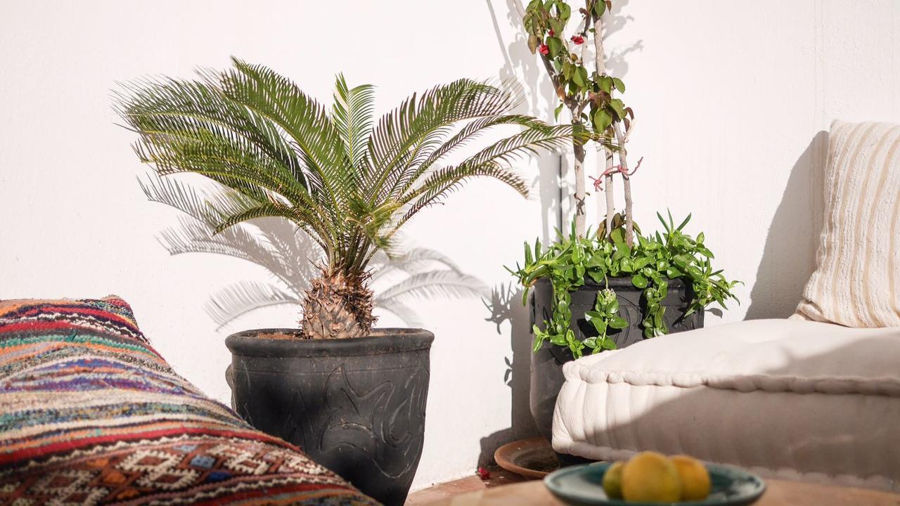 Boho 27 Hostel Marrakech 马拉喀什 外观 照片